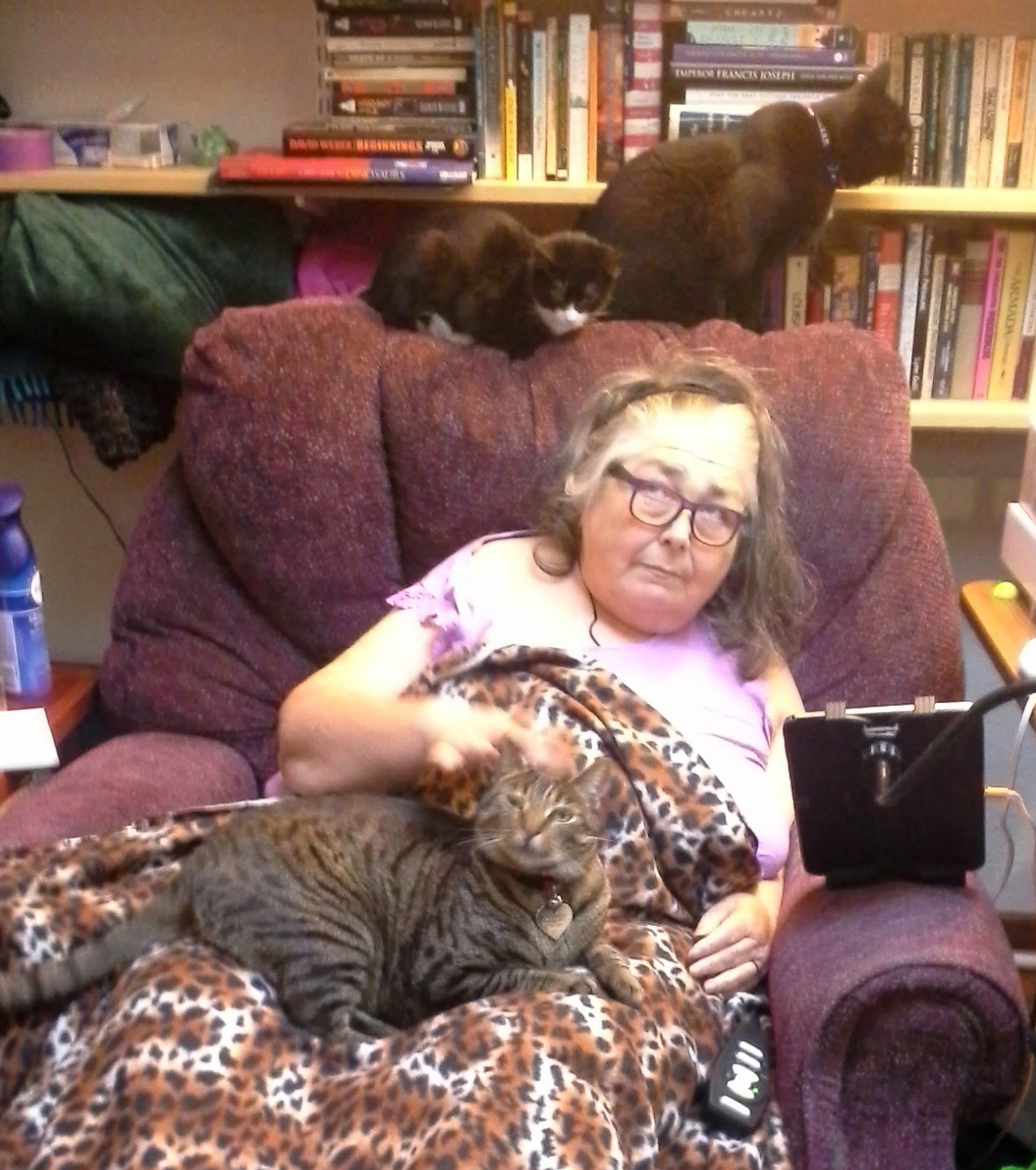 Colleen in her chair with Curio in her lap and the other two cats on the chair back.